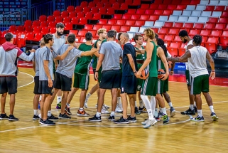 "Bayern" namie nusileido Europos taurės klubui